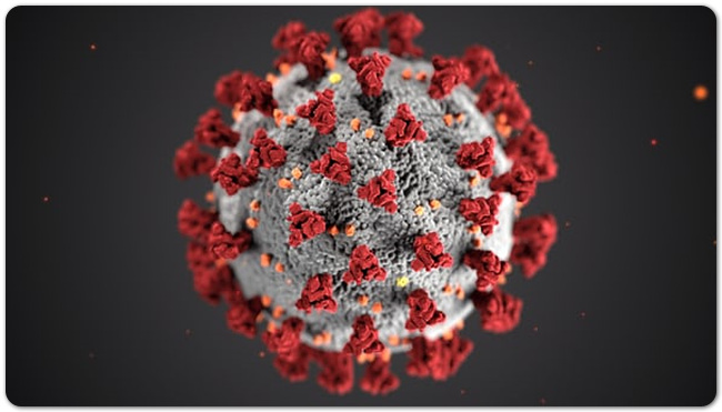 겨울철 질환 예방을 위한 조언 - 노로바이러스, 로타바이러스
