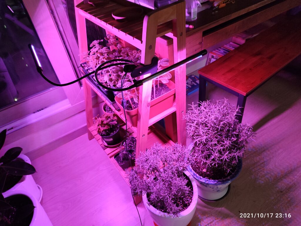 식물등 거실에 실제로 설치한 모습입니다.
