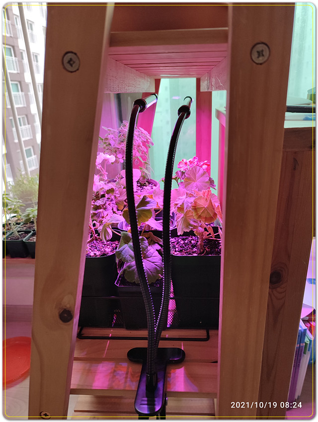식물등 달기 - 식물에게 필요한 LED등 필요한 LUX 는?